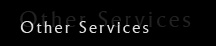 Other Services